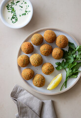 Fresh chickpea falafel. Healthy eating. Vegetarian food.