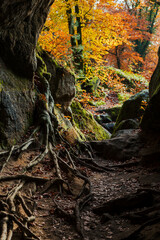 Müllerthal oder Müllerdall in Luxemburg in Herbst