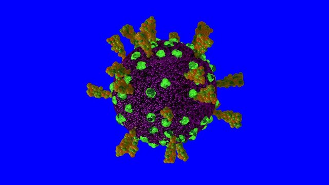 Loopable on Blue Screen: Single rotating coronavirus virion particle isolated on blue screen background. Stylyzed SARS-CoV-2 (COVID-19) coronavirus 3D animation.