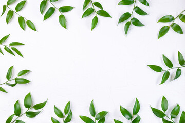 Frame with green leaves on white background, horizontal, copy space