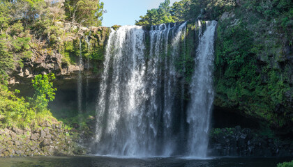 Fototapeta na wymiar Beautiful Rainbow Falls with cave, Kerikeri area, Northland, New Zealand