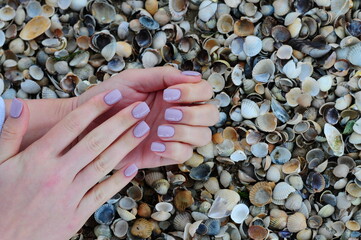 Gentle female hands with an amazing manicure on a background of seashells.