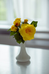 Yellow roses stand in a small vase on a white table in front of the window