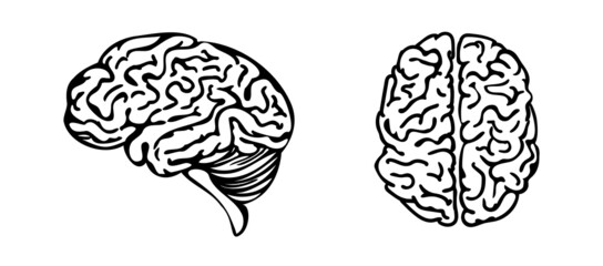Brain line art icon set isolated on white background