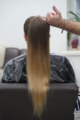 Fototapeta premium Work in a hairdressing salon. High tail. Measurement.