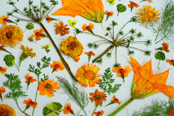 Colorful pressed dried edible flowers for cake decoration