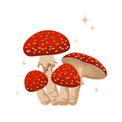 Inedible poisonous fly agaric. Fungal vector illustration. Amanitaceae mushrooms isolated on white background.
