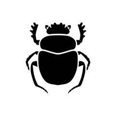 Black egyptian scarab silhouette. Sacred symbol of movement of sun. Dung beetle with decorative natural vector ornament