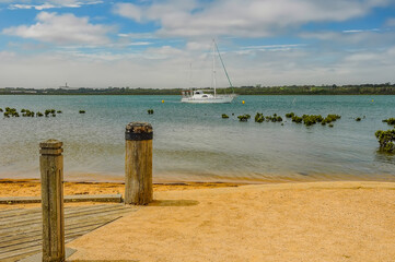 Walk in the Hastings Coastal Reserve.