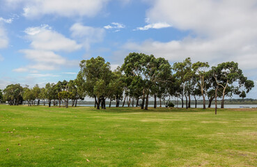 Walk in the Hastings Coastal Reserve.