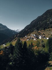 Fototapeta premium landscape with lake