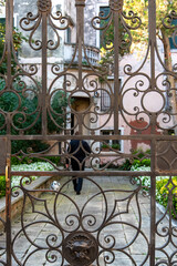 Man with Dog going for a walk, view through an Iron Gate, Venice