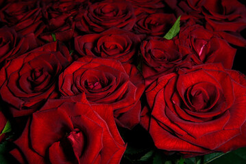 large bouquet of red roses close-up