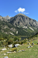 Fototapeta na wymiar Beautiful mountains, green valley.Bright breathtaking,thrilling view in summer,sunny weather.Pyrenees,Europe.Vertical photo,copy space.Aiguestortes national park, Spain