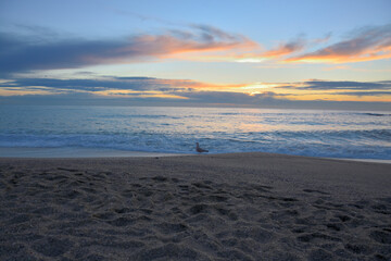 Fototapeta premium sunset at the beach