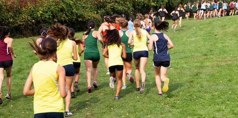 Many high school girls running uphill during a cross country race