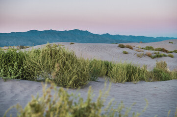 Amazing landscape at sunset, with dunes in the middle of the desert with shades in the sand and green of the little vegetation, mountains, and the wide desert are distinguished.