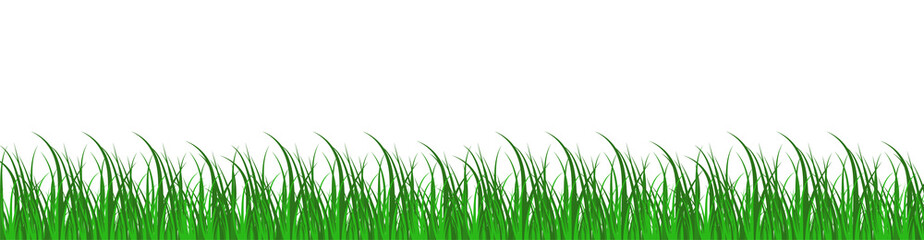Fototapeta na wymiar Green grass border. Silhouette of grass on transparent background. Green lawn panoramic landscape. Template with herbal border for your design. Vector illustration.