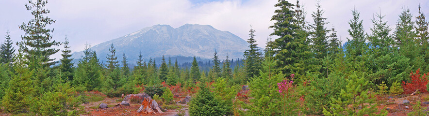 Mt St Helens Southeast Side Panorama - This image of the mountain is taken from the Lahar Viewpoint