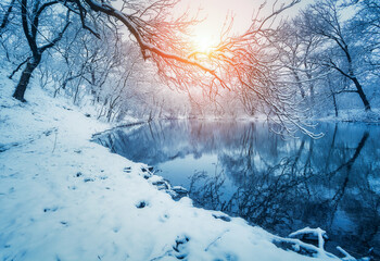 Winter forest on the river at sunset. Colorful landscape with snowy trees