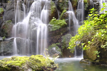 Obraz premium Waterfall of Japanese garden, 21/11/2021