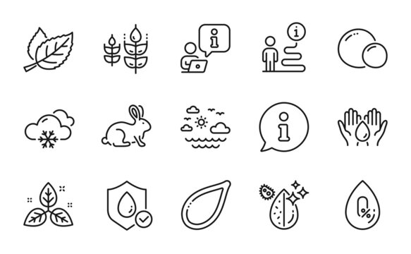 Nature icons set. Included icon as Peas, Snow weather, Dirty water signs. Waterproof, Pumpkin seed, Leaf symbols. Animal tested, Gluten free, No alcohol. Safe water, Fair trade, Travel sea. Vector - Powered by Adobe