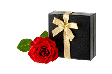 Black gift box with golden ribbon and red rose flower isolated on white background. Celebration greeting card mockup with copy space