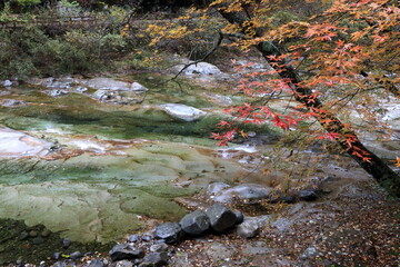 面河渓　五色河原　秋　（愛媛県　久万高原町）