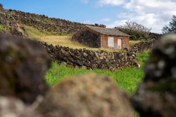 Typowy dla wyspy Terceira kamienny budynek, oraz kamienny murek oddzielający łąkę lub pole uprawne 