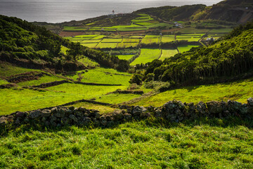 Typowy zielony krajobraz wyspy Teiceira, Portugalski archipelag Azory. W tle widać latarnie morską Ponta das Contendas i koźlą wyspę. - obrazy, fototapety, plakaty