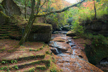 山中渓谷の紅葉