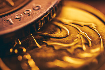 Macro View of Polish coins. 