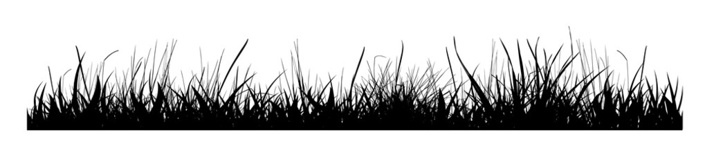 Naklejka premium Silhouette of black grass. Vector illustration