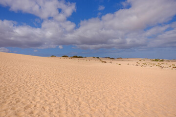 View on the sand dunes of Corralejo on the Canary Island Fuerteventura.