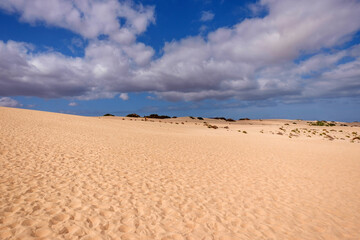 Fototapeta na wymiar View on the sand dunes of Corralejo on the Canary Island Fuerteventura.