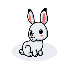 Fototapeta na wymiar Cute little rabbit cartoon sitting