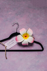 environmentally conscious clothing brands, Sustainable Fashion label with clothes hanger on pink background with tropical frangipani flower