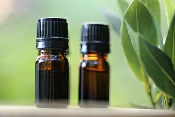 Laurel oil.Green laurel oil. Bay leaf oil.Essential oil bottles. Glass bottles set and laurel leaves on a green blurred background