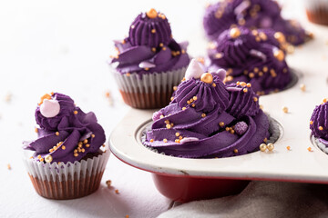 Delicious cupcakes with violet cream ready to eat.