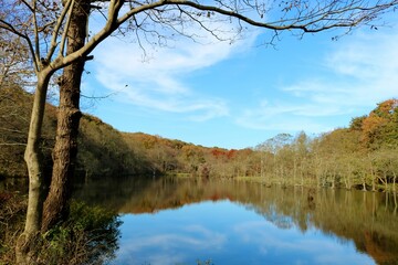 秋の湖　穏やか　風景