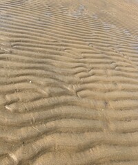 Cape Cod sand ripples