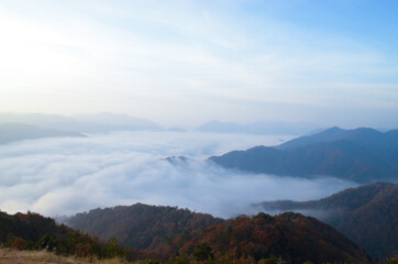 mountains in the fog