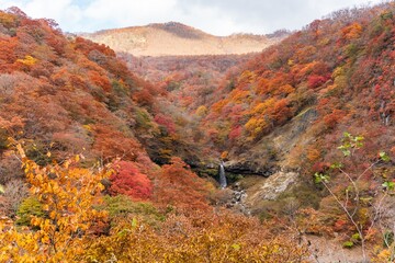 autumn in the mountains