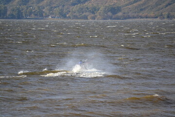 Fototapeta premium Kitesurf