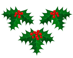 Naklejka premium クリスマスのイラスト素材：ヒイラギ 柊