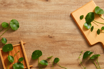 Centella asiatica in wooden chopping board and a brown wooden background for centella asiatica...