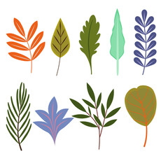 Set of leaves. Flat design.