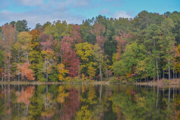 Fototapeta na wymiar Beautiful Hamburg Lake in Hamburg State Park, Mitchell, Washington County, Georgia