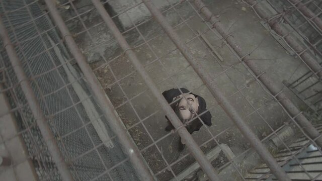 Scary Female With Pale Skin And Black Make Up and Clothes Spinning And Looking Up In A Prison Cell. - Top Down Shot