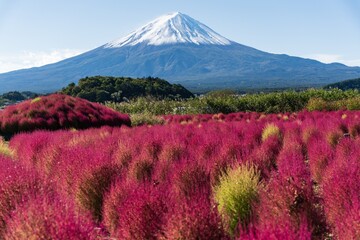 mountain in autumn